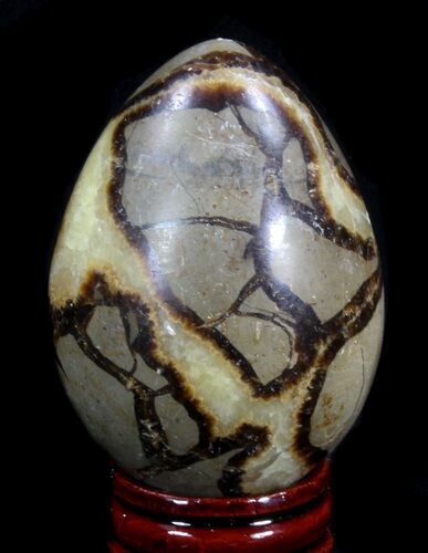 Polished Septarian Egg #41791